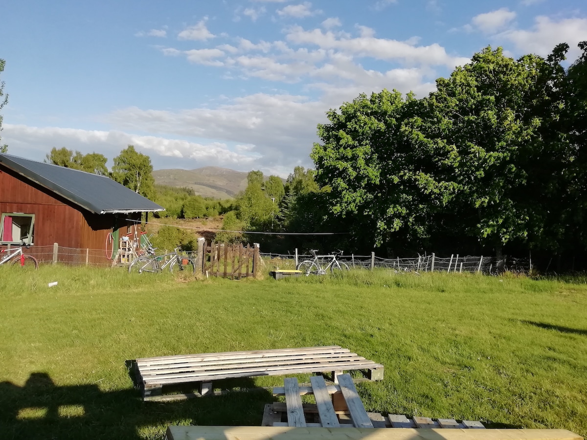 Loch Ness Hideaways - Silver Birch Chalet