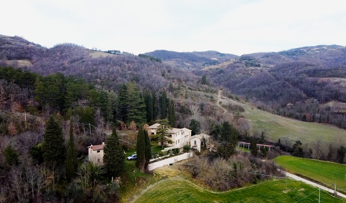 Cerqua Palmata -  full villa