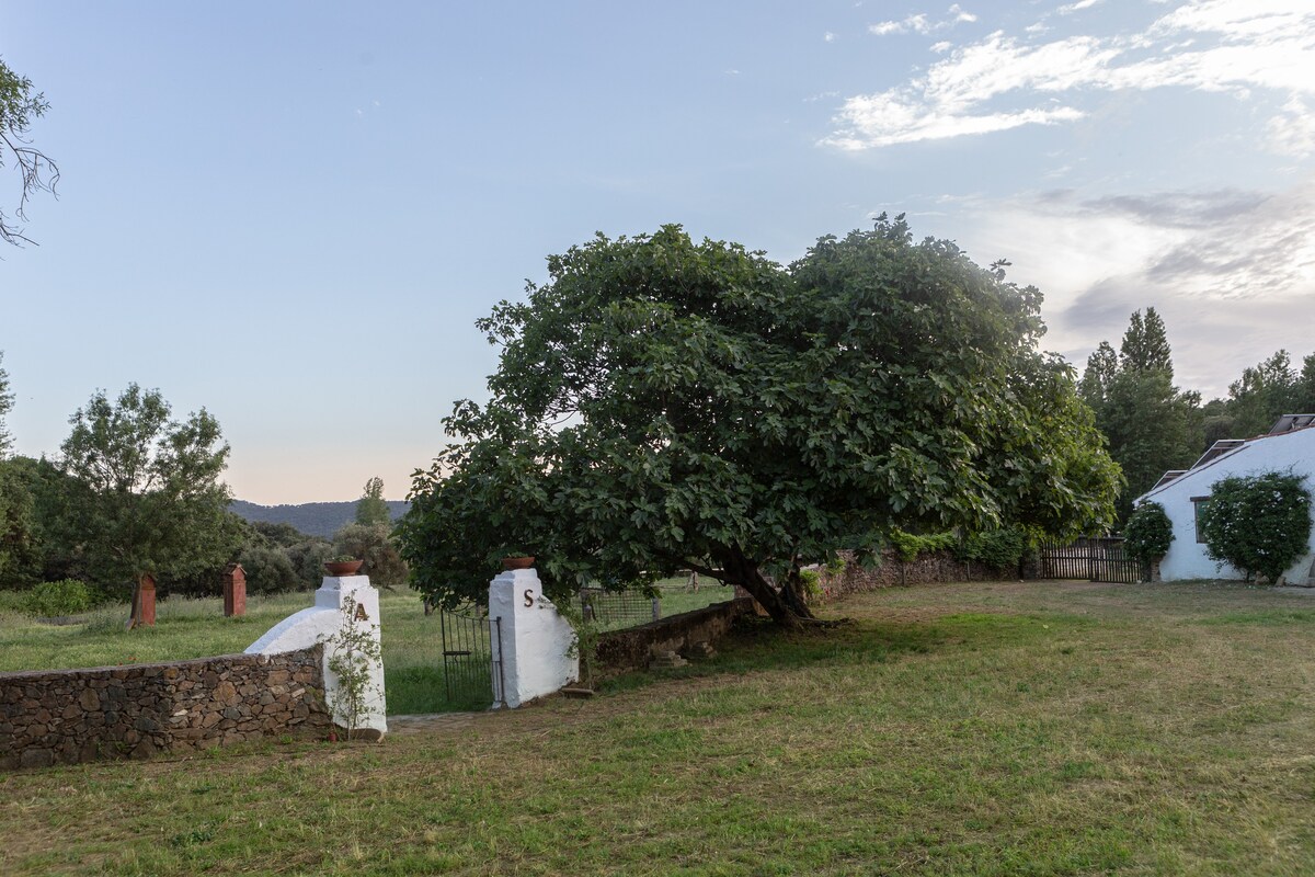 Cazalla de la Sierra可爱的乡村别墅