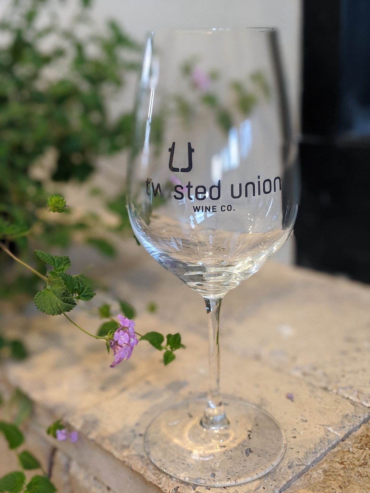 Twisted Union Wine Company - Vineyard View Suite