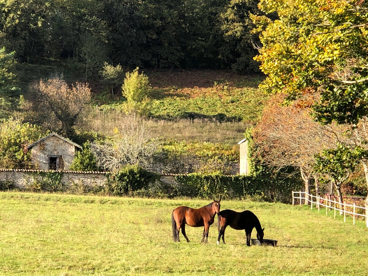 Domaine du Vignau ，充满魅力和传统的小屋