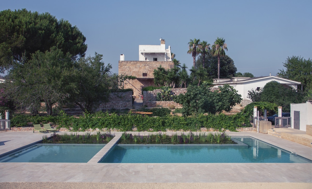 Nespolo in typical Masseria 3 km from the sea.