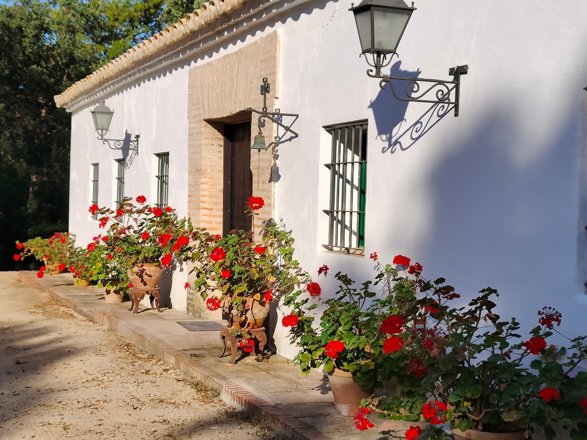 Casa de camp - Cortijo El Palomar