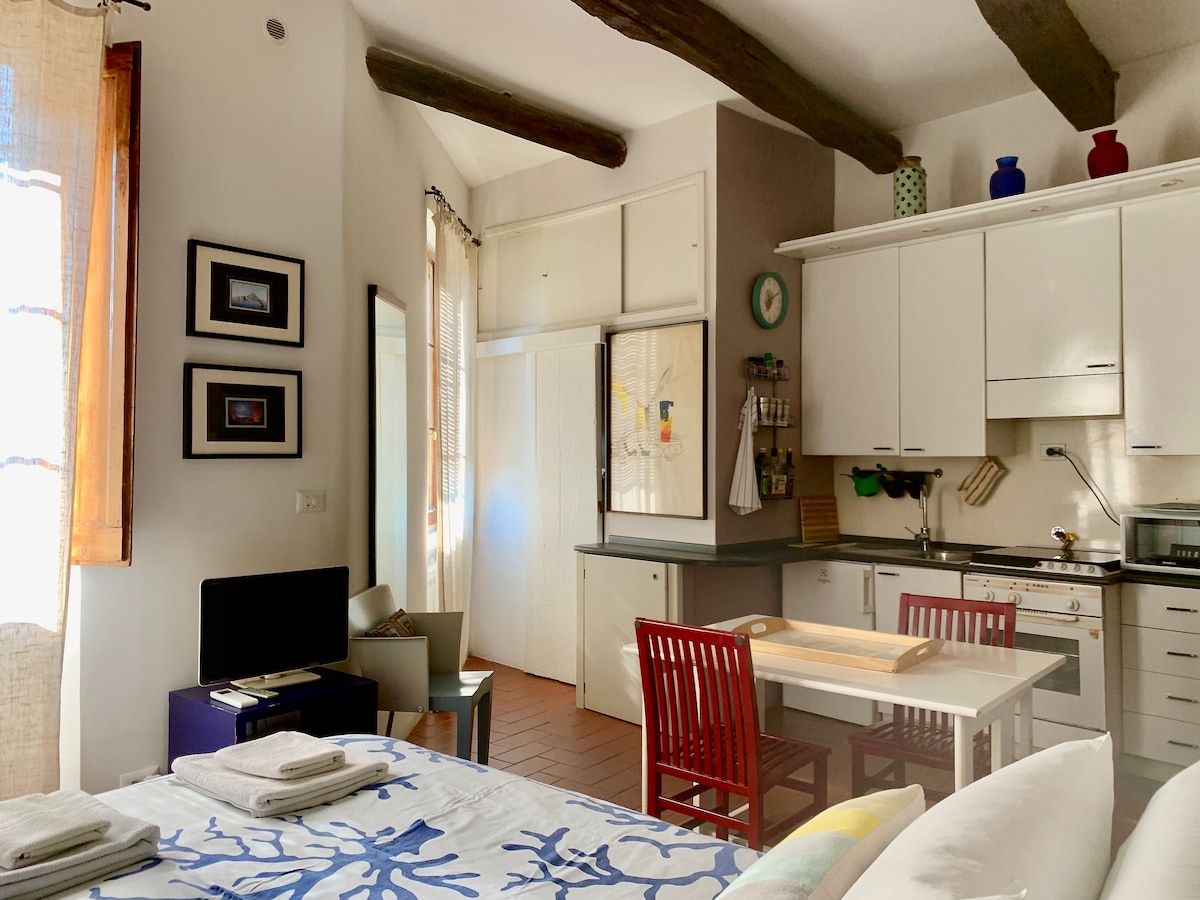 CR - Trastevere带露台的舒适单间公寓