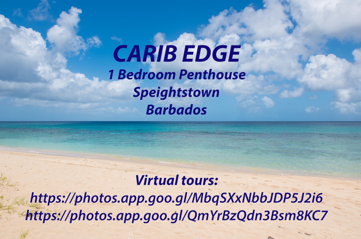 Carib Edge空调海滨顶层公寓，靠近便利设施