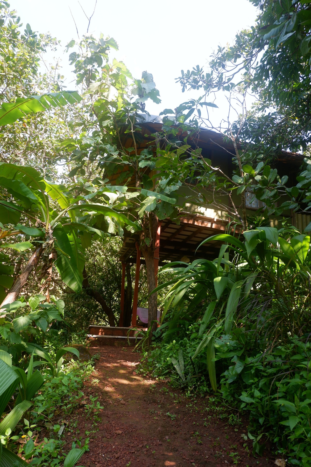 生态村树屋（ Ecovillage Treehouse ） - 1号