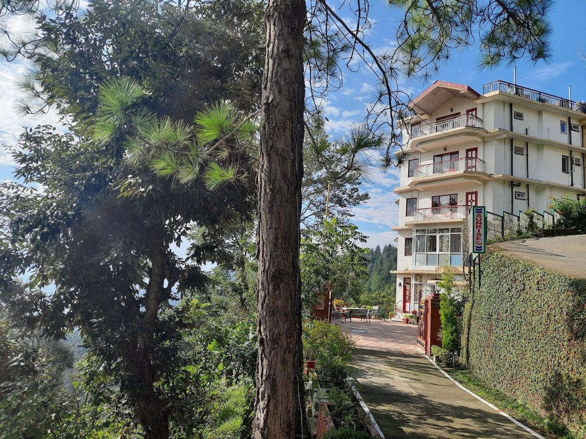 Rejuvenate in Shimla | garden | nature |  walks