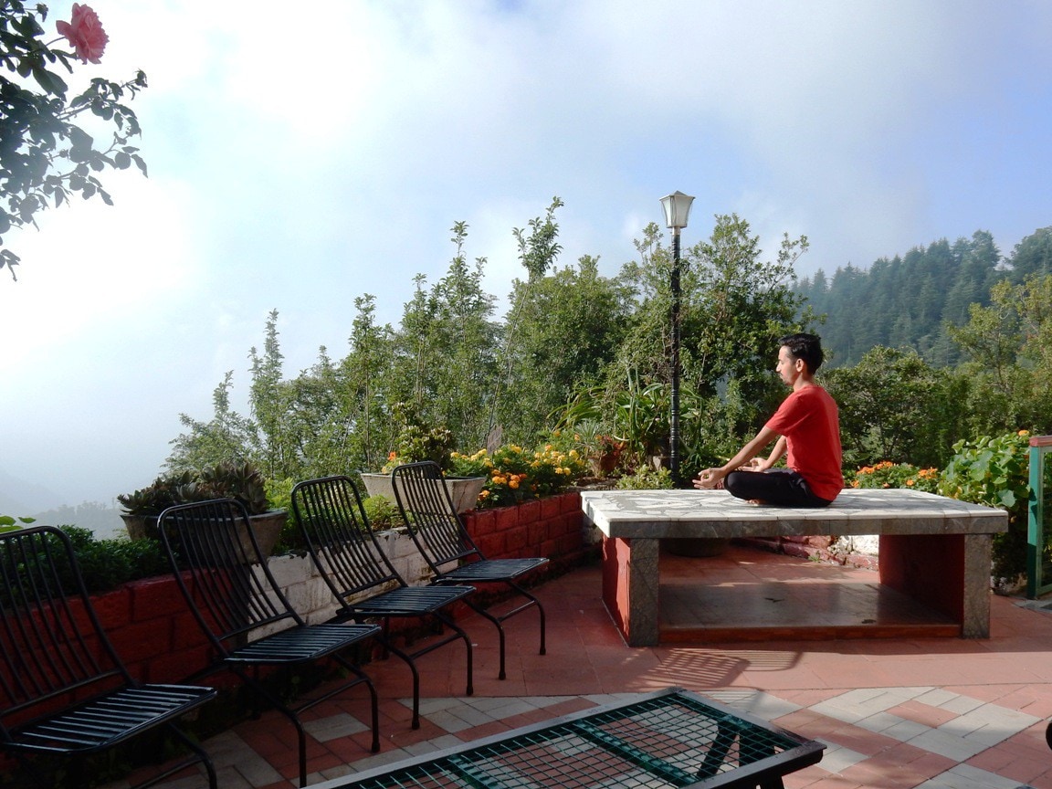 Rejuvenate in Shimla | garden | nature |  walks