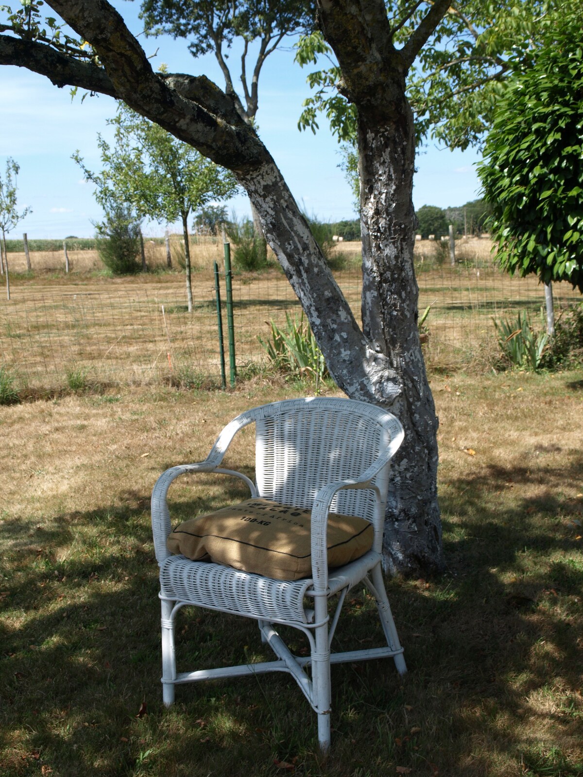 Petite maison entre bois et verdure au calme