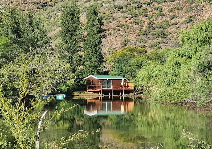 奥茨胡恩（Oudtshoorn）的民宿