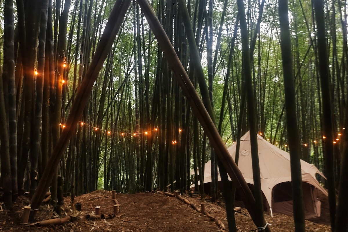 Glamping 2 en Bosque de Bambu