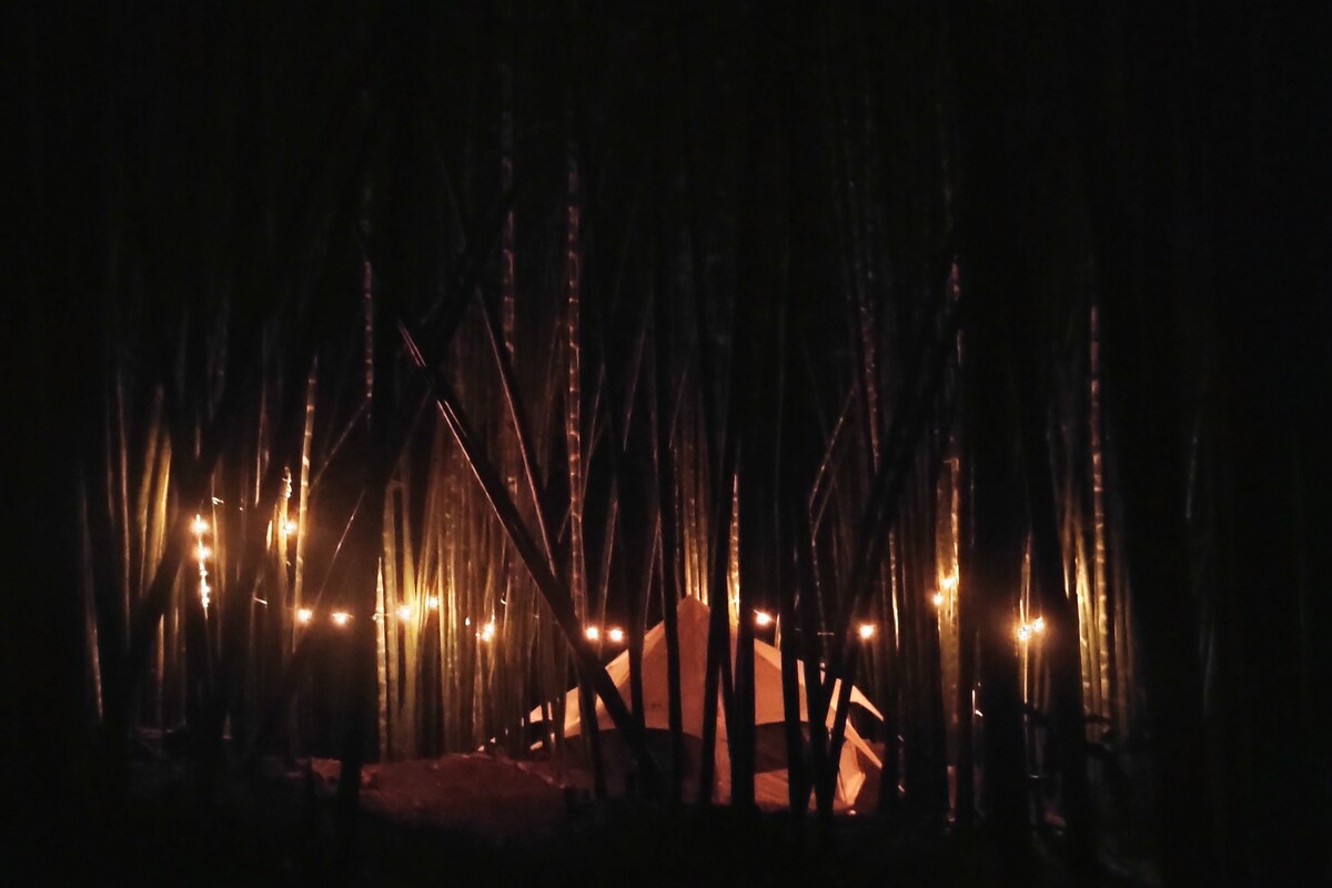 Glamping 2 en Bosque de Bambu