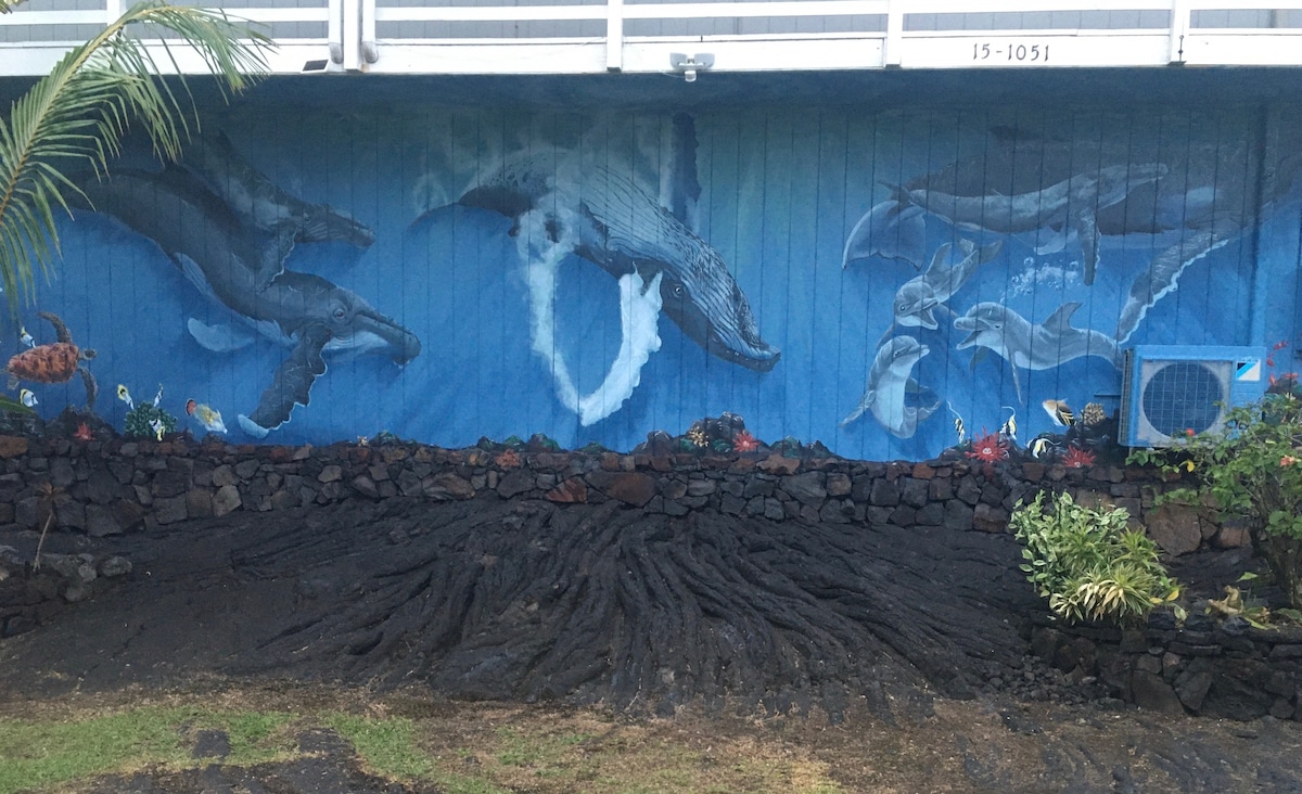 令人惊叹的海景-夏威夷鲸鱼屋