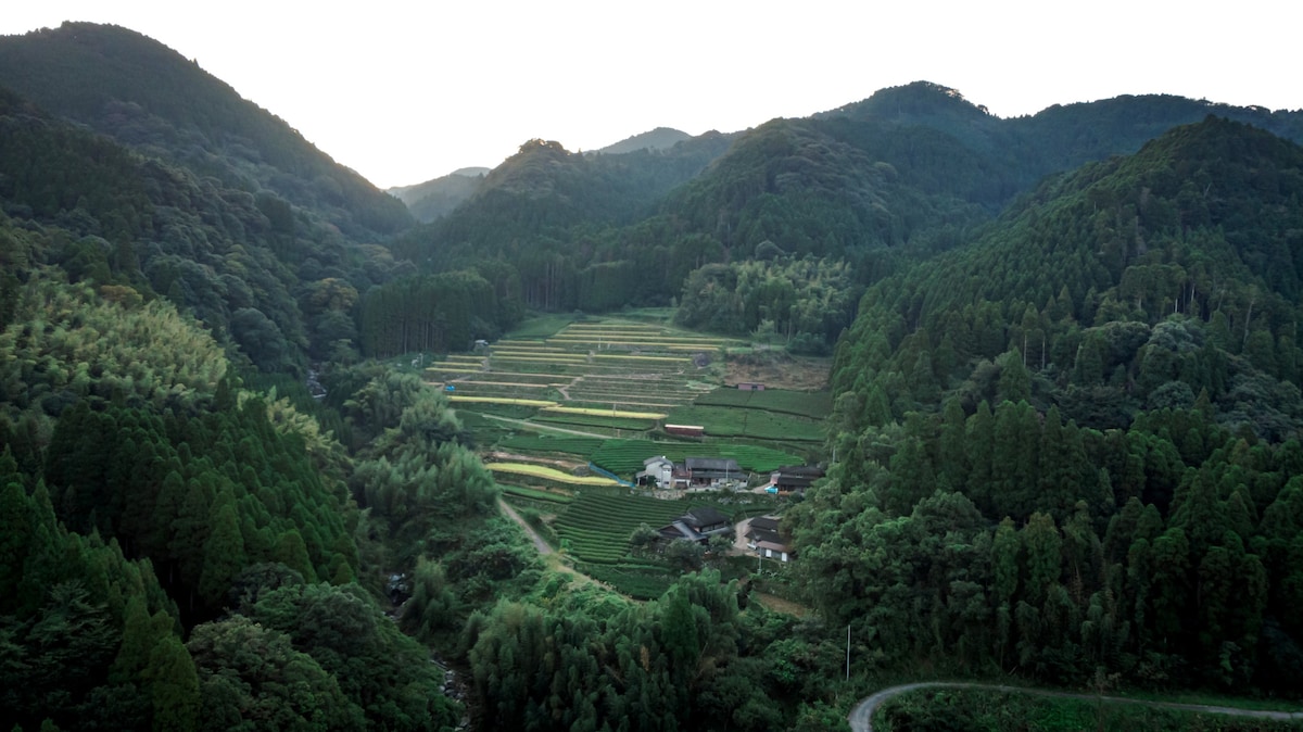 天空茶馆（独立单人房）