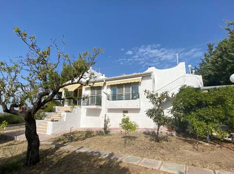 Villa with garden and view on olive trees and sea