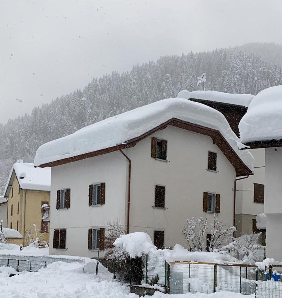 Casa Collina di Forni Avoltri