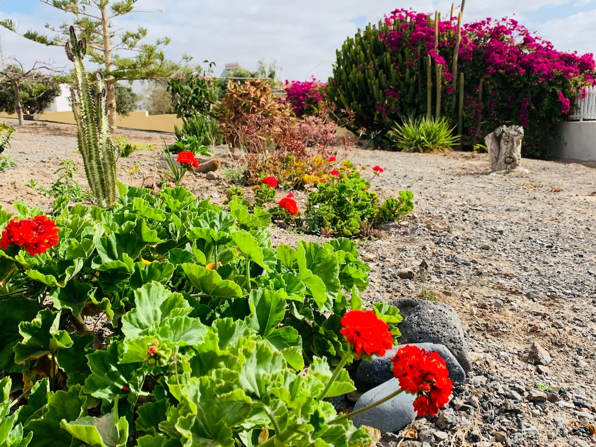 Casa "Los Piñeros" Fuerteventura