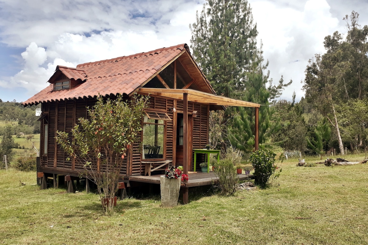 莱瓦别墅（ Villa de Leyva ）迷人的小木屋