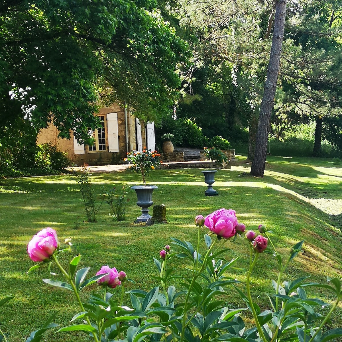 Ancienne Orangerie 18° Siècle