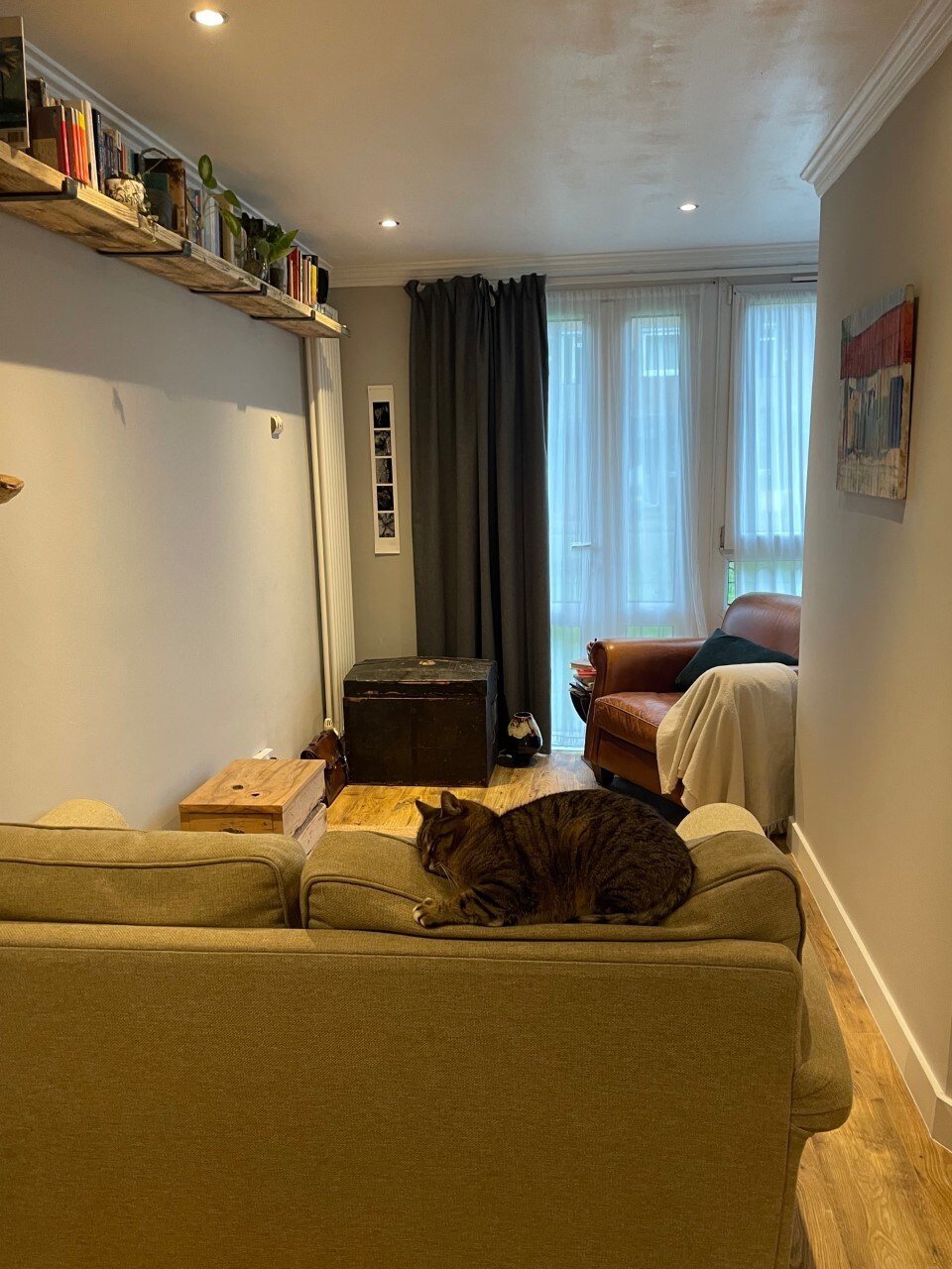 一张床的公寓和一只非常友好的猫