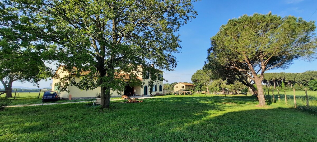 Podere Sabaudia – Relax in nature; close to Pisa