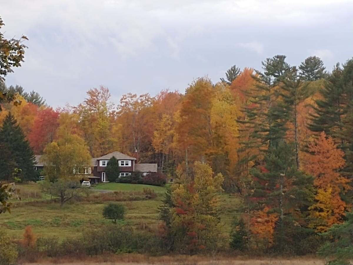 Spacious country retreat close to town and nature!