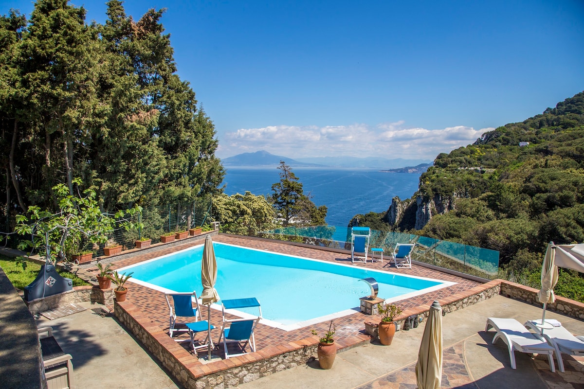 Wonderful Capri villa with sea view pool