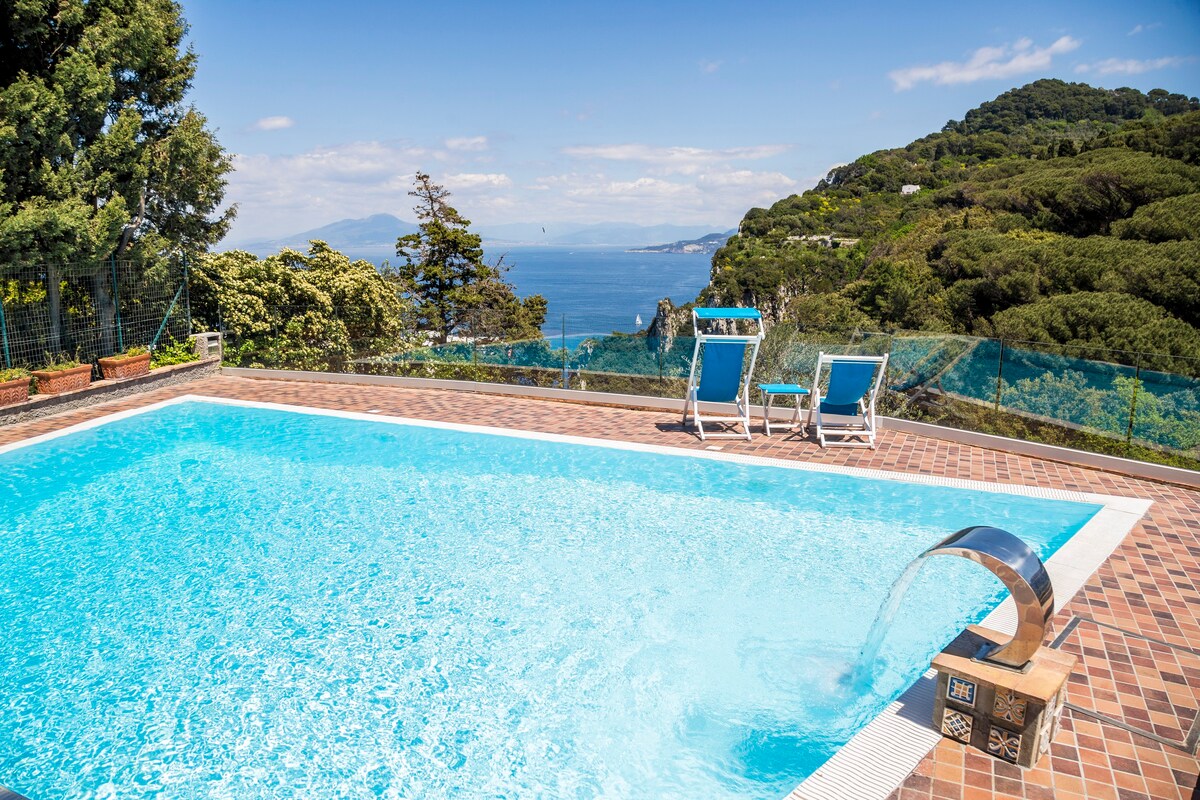 Wonderful Capri villa with sea view pool