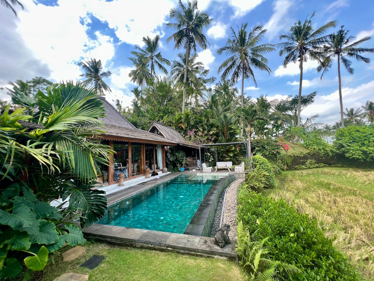 Beachfront Villa, Infinity Pool & Rice Field Views