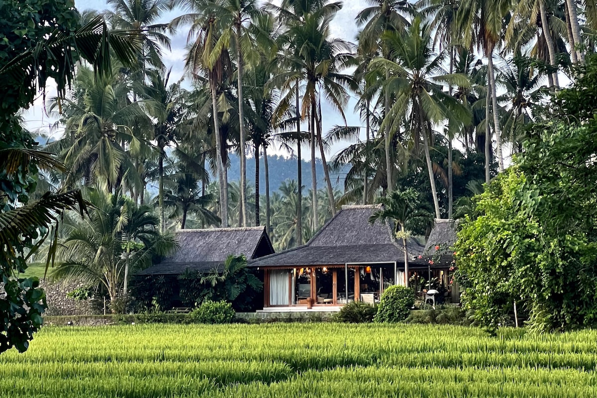 Beachfront Villa, Infinity Pool & Rice Field Views