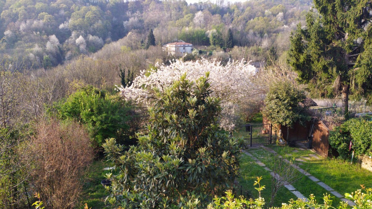 Turin Hills