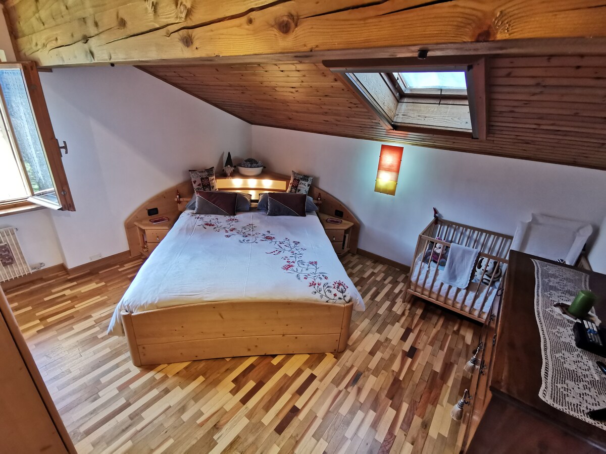 Cozy attic in the green of Cadore