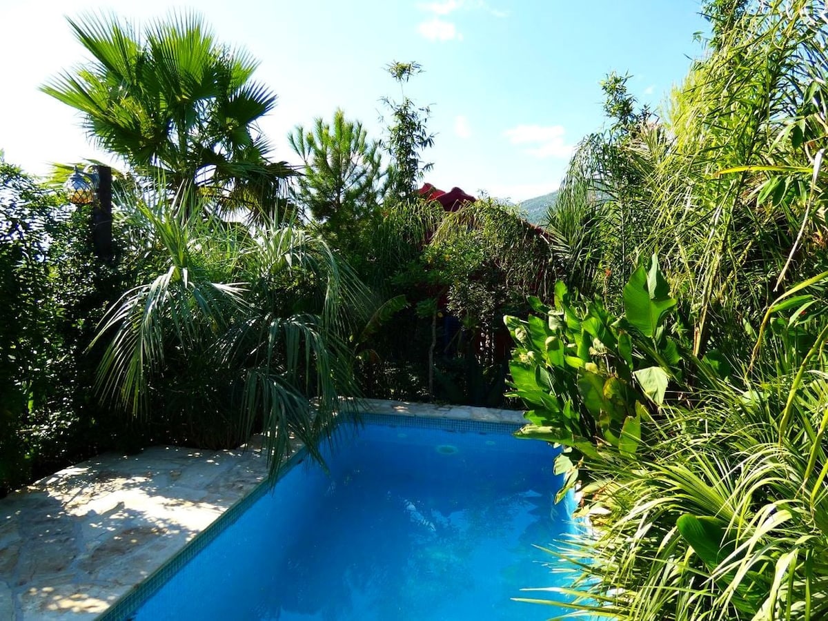 Villa Tropica - villa with pool and private garden
