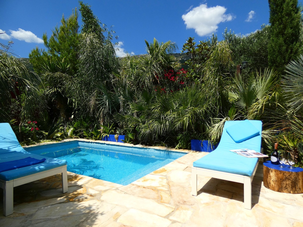 Villa Tropica - villa with pool and private garden