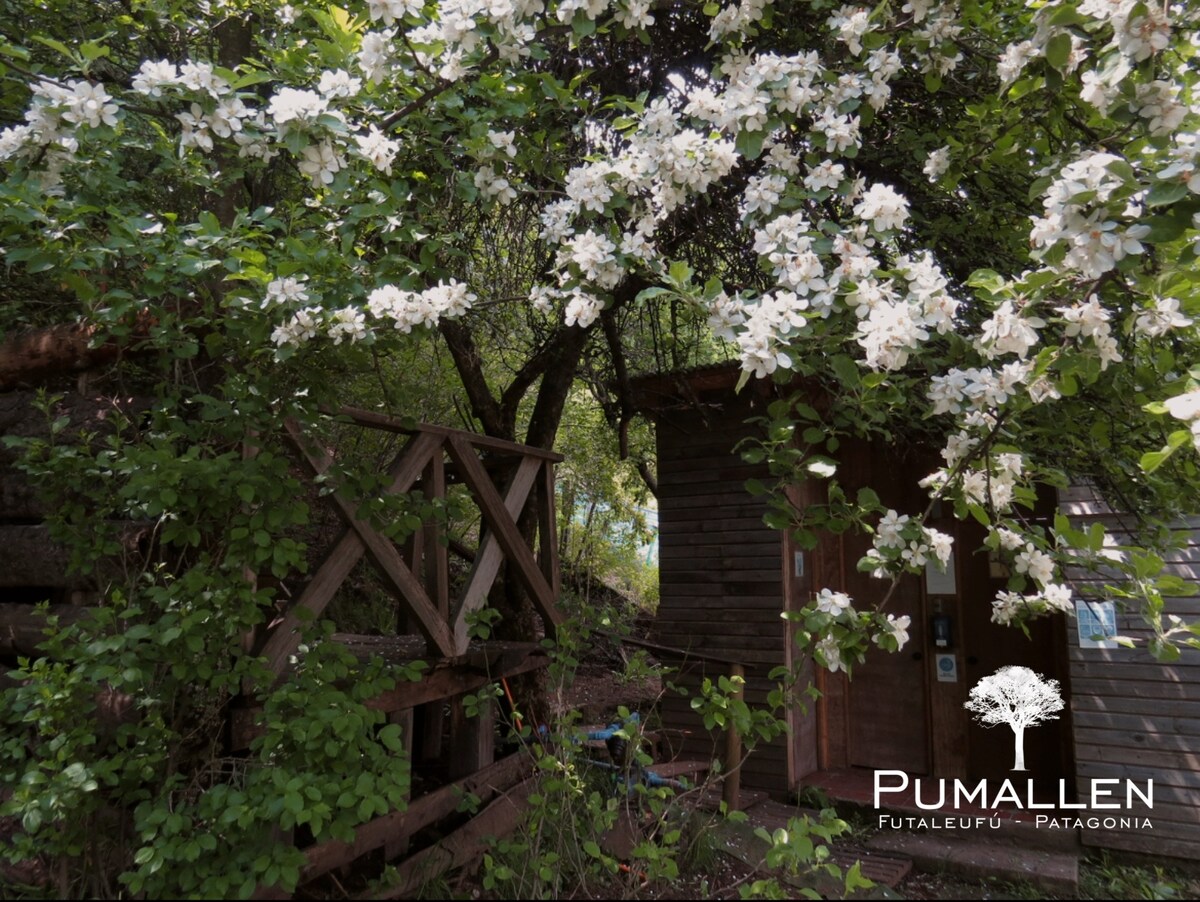 Pumallen Cabins, Futaleufú, Patagonia