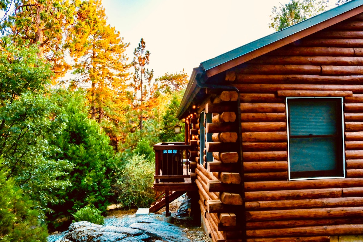 在Timbered Pines体验独一无二的日志小屋