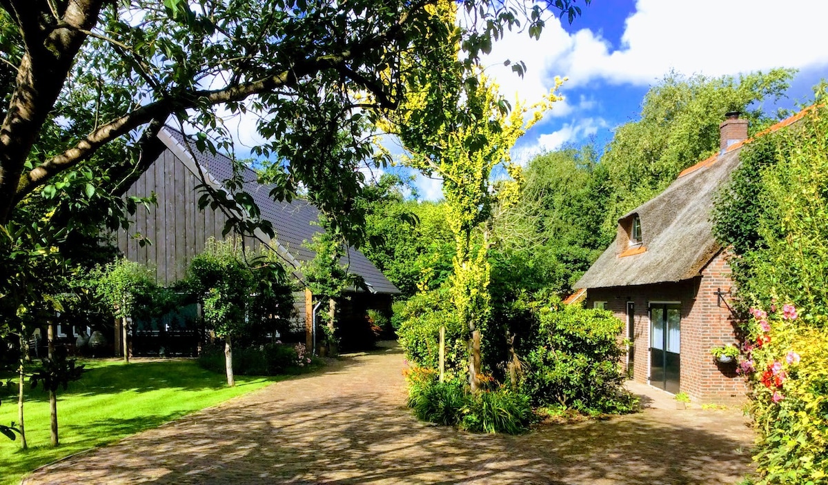 Giethoorn Lodge,度假屋, Ferienhaus