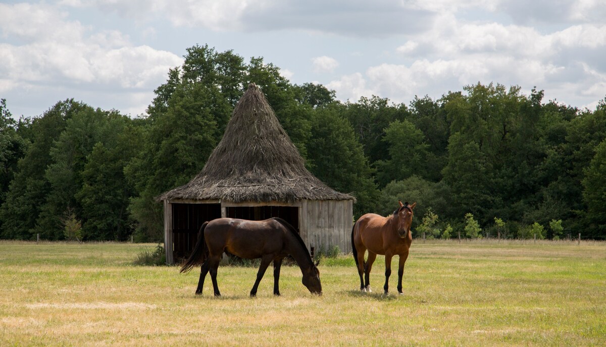 La Maison d'Annie - Domaine de la Trigalière