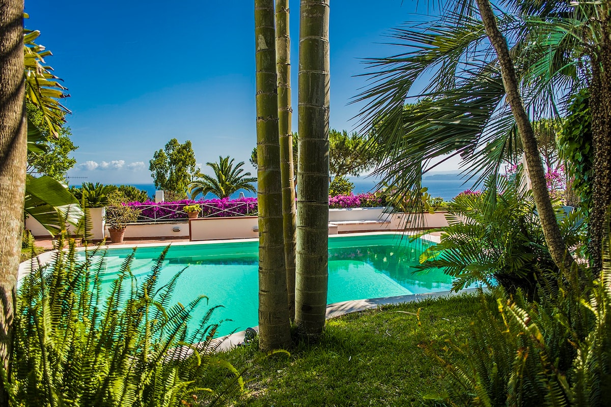独家别墅，带私人泳池- Villa Enaria