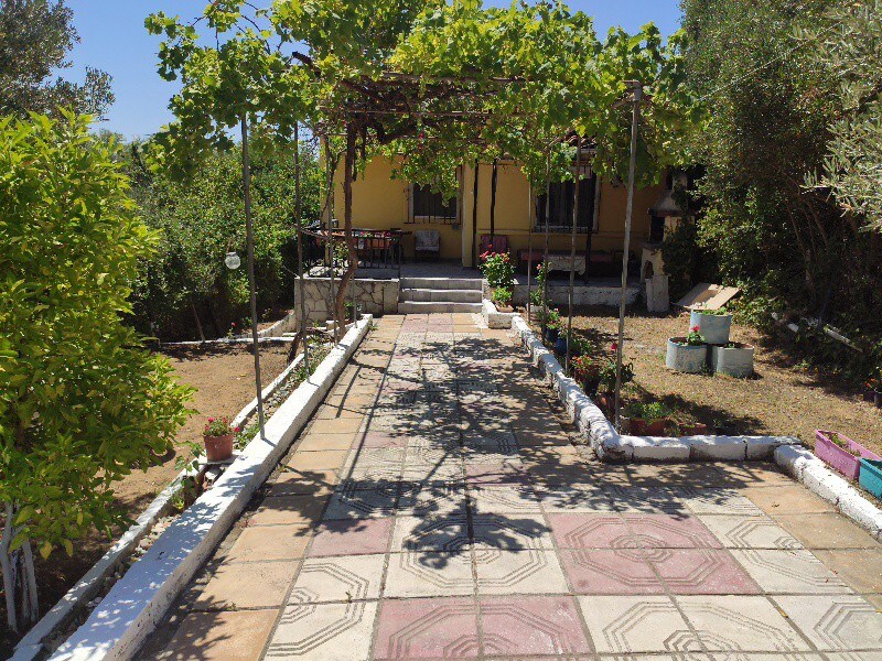 塞萨洛尼基Agia Triada的独立房屋。