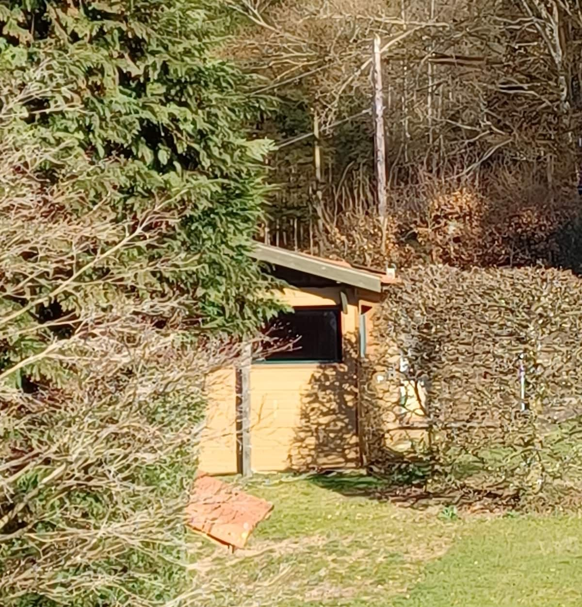 AU CREUX DU BOIS , "Petit Gîte BAMBOU"