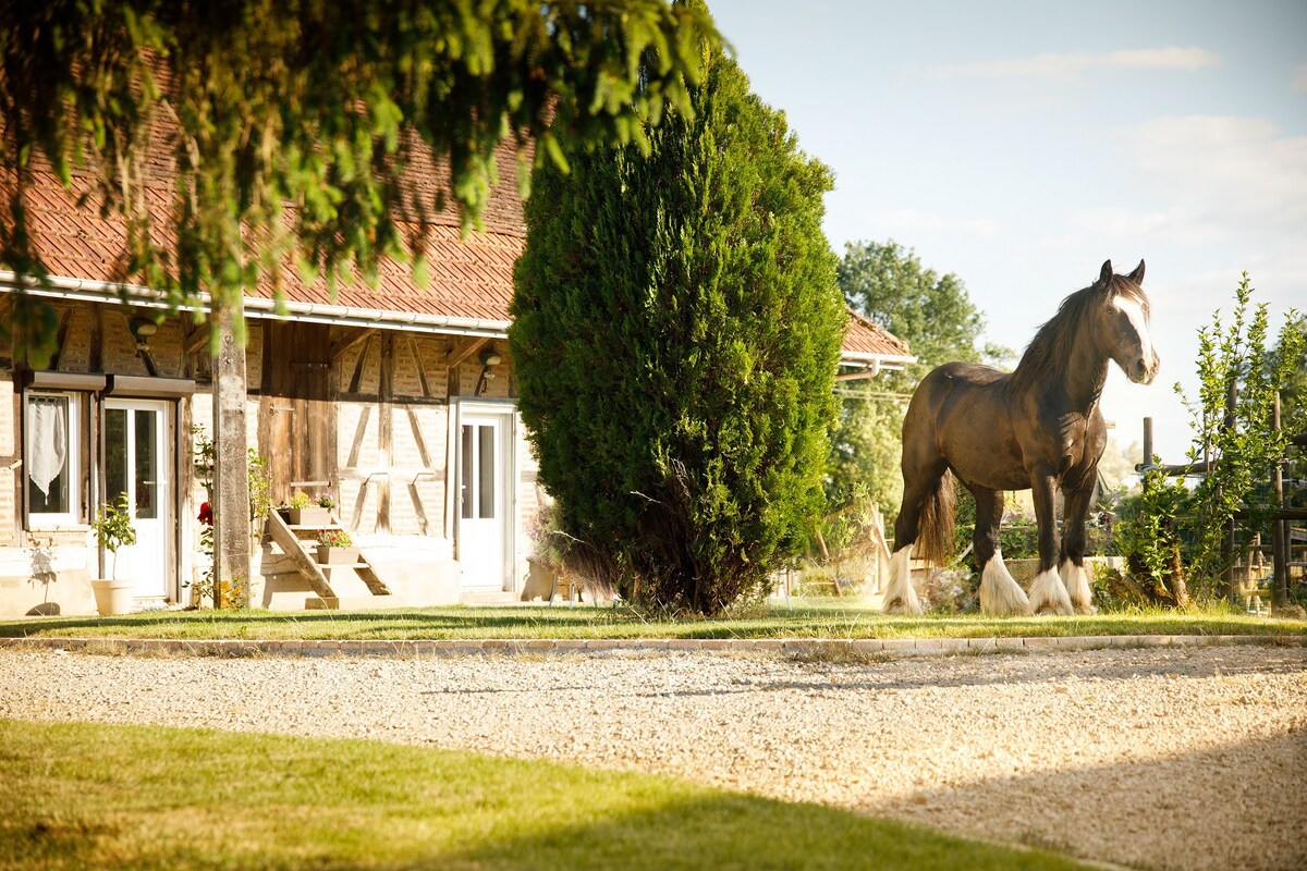 La ferme de la Chassagne 2