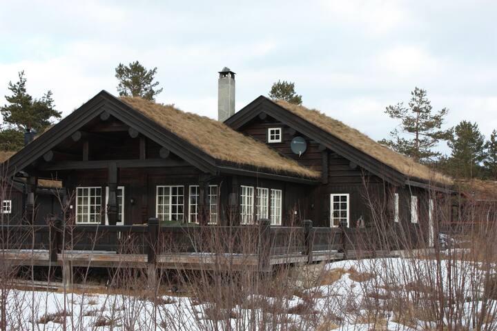Åmli kommune的民宿