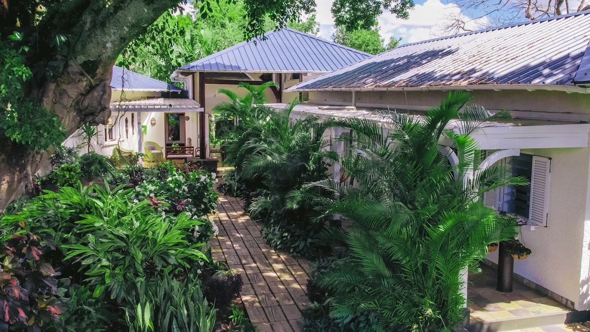 Villa Créole & Cabane dans l'Arbre