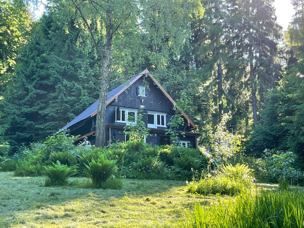 森林中的经典狩猎小屋