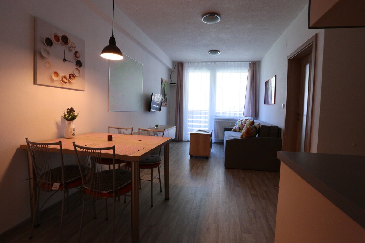 Apartmán Všemina