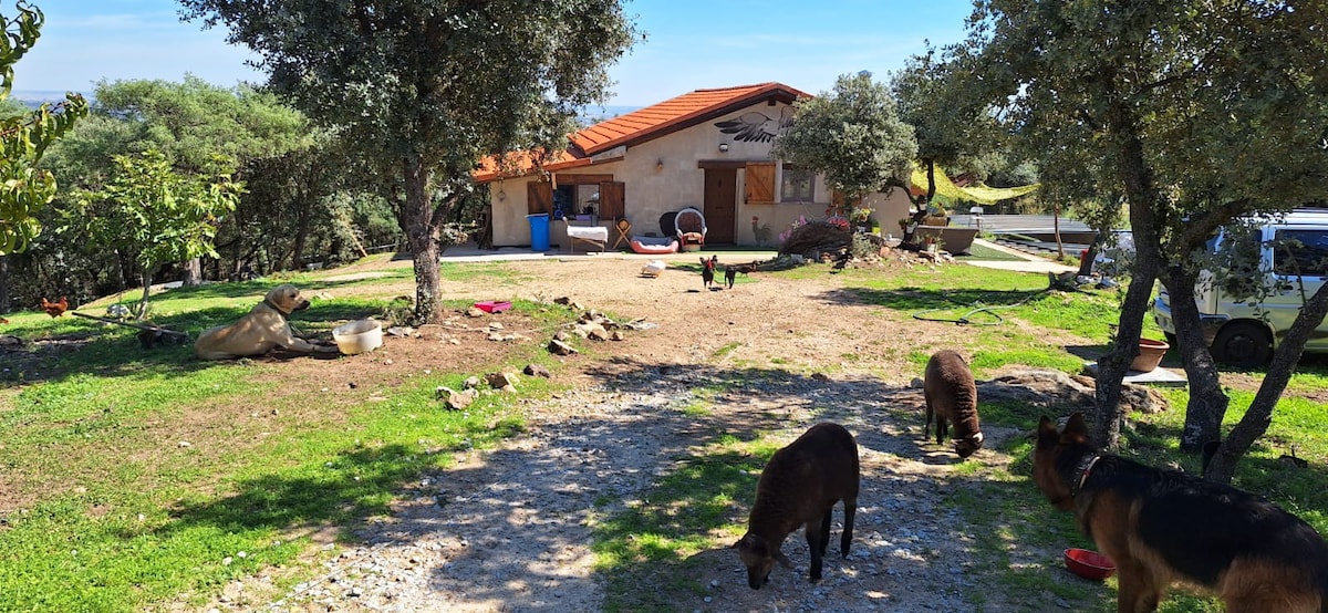 Buhardilla in Casa Campo/Farm