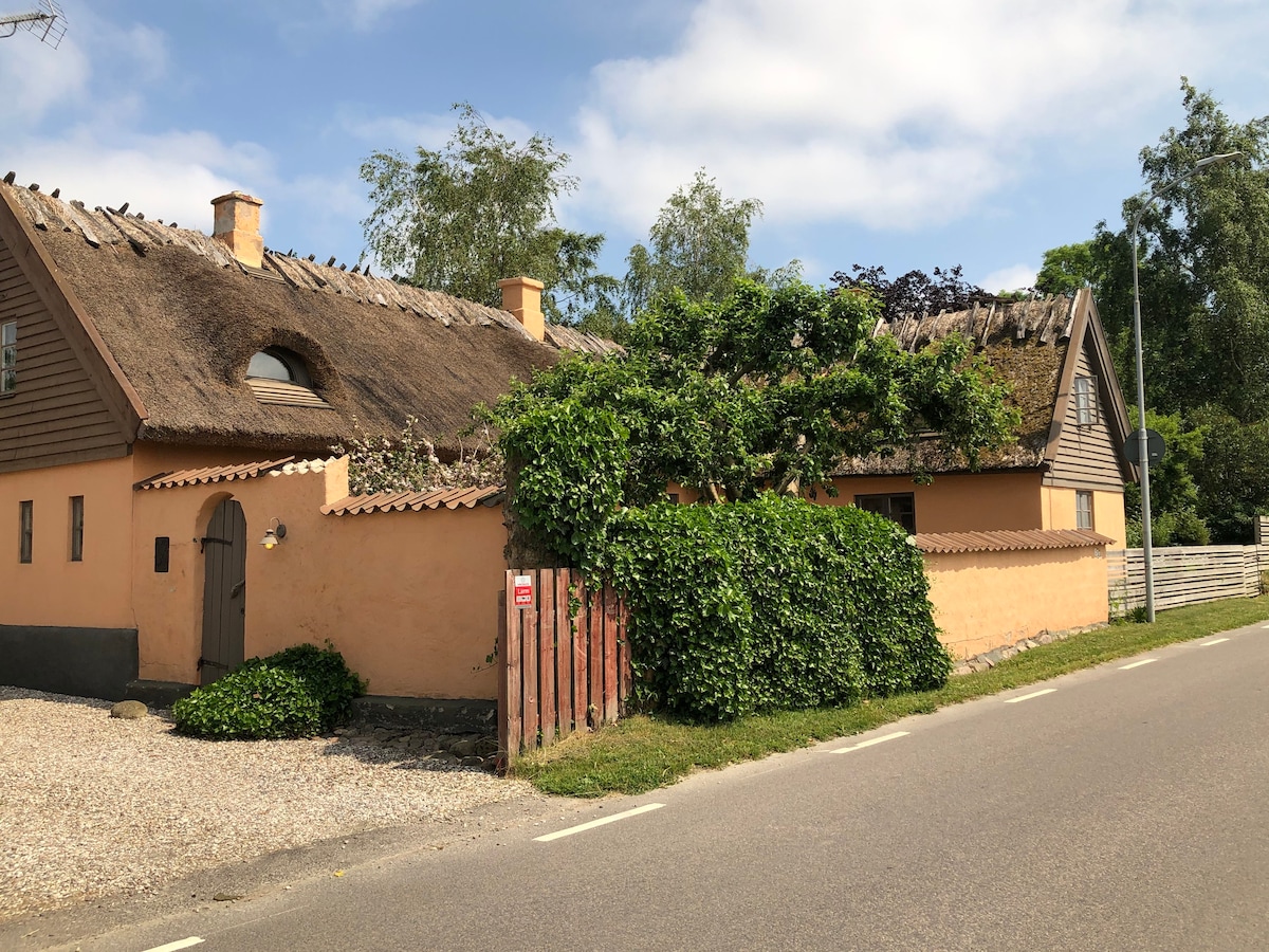 Den skånska drömmen nära Ystad