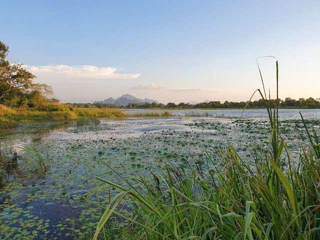 Sigiriya 2P-小木屋，厨房，披萨Ov ，宁静