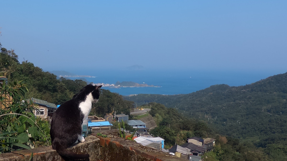 雜院民宿(獨立空間)